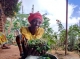 FAO welcomes the celebration of the International Year of the Woman Farmer in 2026 